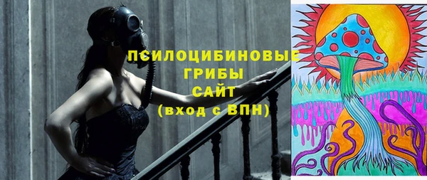 прущая мука Верея