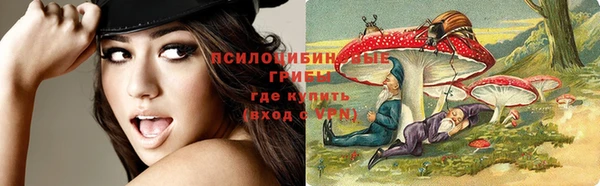 прущая мука Верея