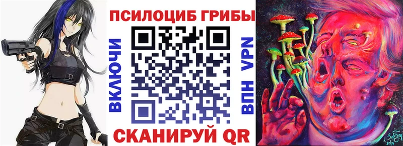 Псилоцибиновые грибы Psilocybine cubensis  KRAKEN как зайти  Артём 